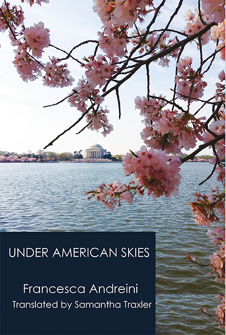 UNDER AMERICAN SKIES